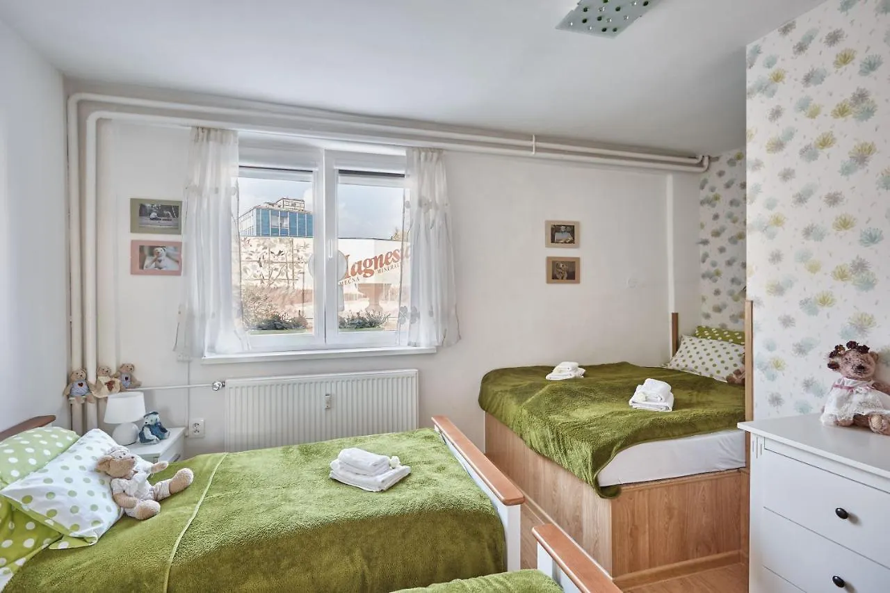 Apartment U Medvídka Karlovy Vary